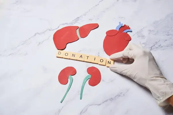 Documents Required for Kidney Transplant in India